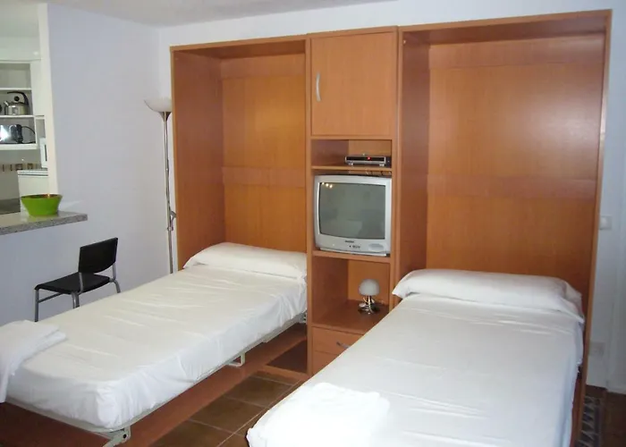 Palmeras Iii- Arena Benidorm